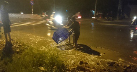 500kg cá tràn ra đường, không một bóng người "hôi của"