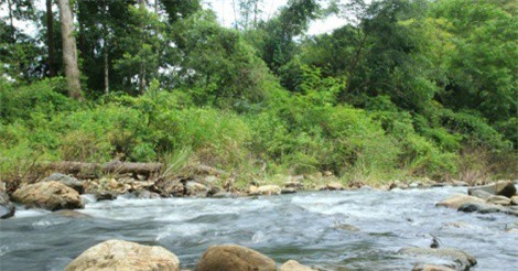 Đi bộ xuyên rừng, nữ phượt thủ bị lũ cuốn tử vong