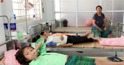 Lào Cai: 6 trẻ em nhập viện cấp cứu do ăn nhầm nấm độc