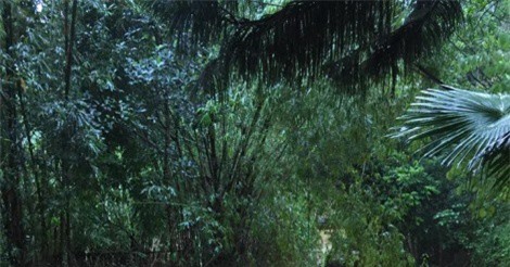 Hòa Bình: Mưa lũ kinh hoàng khiến 41 người chết và mất tích