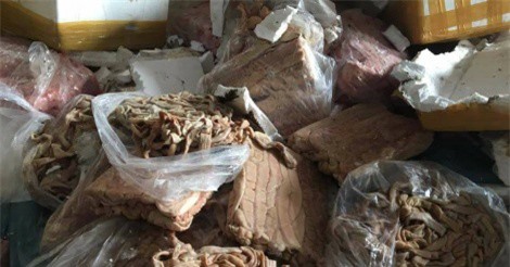 Bắt quả tang 23 tấn nội tạng thối bị tuồn ra Hà Nội tiêu thụ