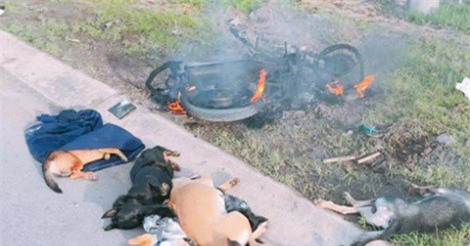 Hà Nội: Trộm 5 con chó, 1 người bị đâm chết tại chỗ