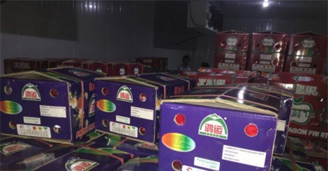 Bầu Đức đầu tư hệ thống kho lạnh "khủng" để bảo quản trái cây