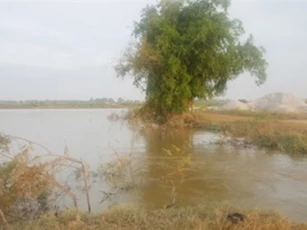 Xác định danh tính 5 em học sinh chết đuối thương tâm