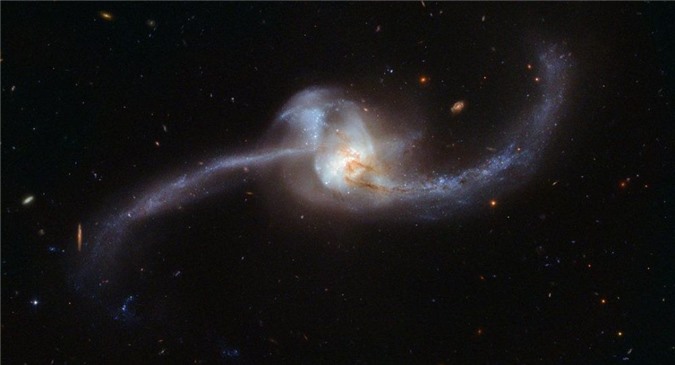 Đài quan sát Hubble chụp được "nòng nọc" vũ trụ