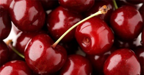 Siết chặt kiểm dịch nhập khẩu anh đào tươi từ Australia