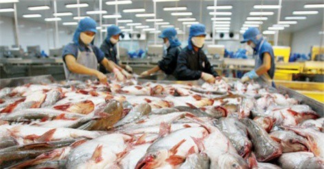 Hải sản vào Mỹ sẽ bị kiểm dịch chặt chẽ