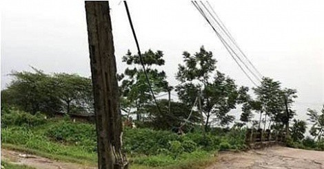 Vụ trộm chó bị đánh chết ở Hà Nội: Tình tiết mới nhất