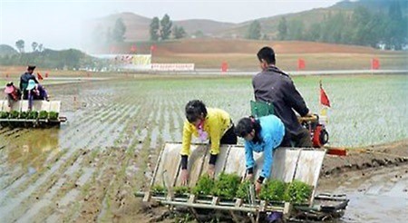 Triều Tiên đứng trước nguy cơ thiếu lương thực nghiêm trọng