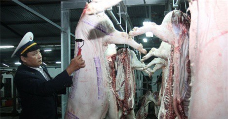 Sau thịt gà, Việt Nam muốn sớm xuất khẩu thịt lợn sang Nhật Bản