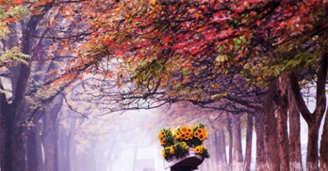 Không khí lạnh tăng cường, Bắc Bộ thời tiết mát mẻ ngày đầu tuần