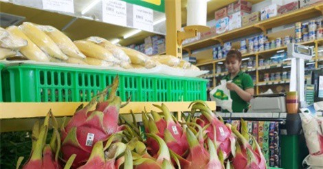 9 tháng, bầu Đức thu về gần 1.300 tỷ từ cây ăn quả