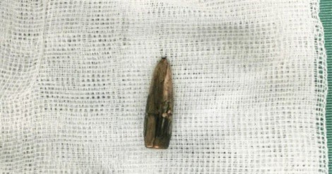 Vụ đạn "rơi" ở Vĩnh Phúc: "Nhiều khả năng liên quan đến thao trường quân đội"