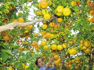 Bộ Nông nghiệp đề xuất bãi bỏ, sửa đổi 118 điều kiện kinh doanh
