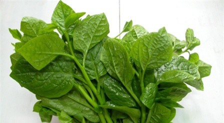 Phụ huynh lo lắng trước thông tin rau trong trường học nhiễm thuốc bảo vệ thực vật