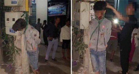 Nhìn lại những cái kết thương tâm vì trộm chó