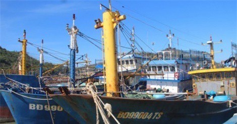 Kỷ luật hàng loạt cán bộ liên quan đến vụ tàu cá vỏ thép hư hỏng