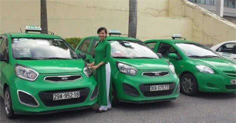Mai Linh lên kế hoạch hợp nhất 3 công ty taxi ở 3 miền về một mối