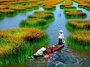 Sau 10 tháng, du lịch Việt Nam đón hơn 10 triệu lượt du khách quốc tế