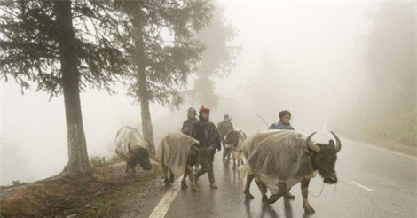 Trung Nam Bộ mưa lớn, vùng núi cao Bắc Bộ xuống dưới 11 độ C