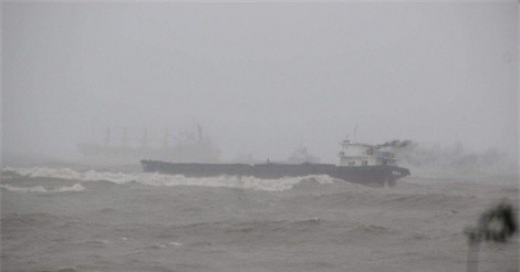 6 tầu hàng bị chìm, Bình Định cầu cứu Chính phủ