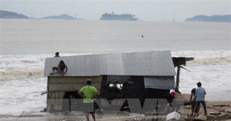 Khánh Hòa: 12 thi thể được tìm thấy trên biển sau bão