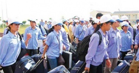 Thu hồi giấy phép nhiều doanh nghiệp xuất khẩu lao động
