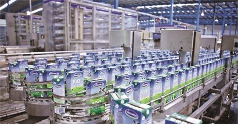 Danh tính cổ đông ngoại chi gần 9000 tỉ đồng mua cổ phiếu Vinamilk