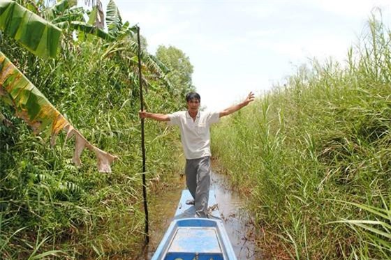 Làm giả công văn, Trưởng phòng thanh tra phòng chống tham nhũng bị bắt