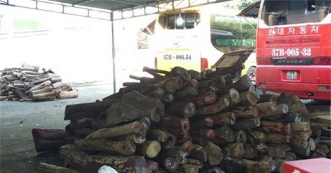Tây Ninh: Bắt giữ lô gỗ lậu trị giá trên 2 tỉ đồng