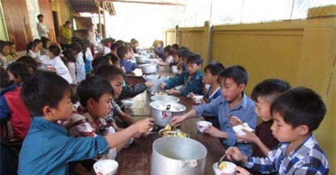 Bán 6 tấn gạo của học sinh, hiệu trưởng và phó hiệu trưởng bị khởi tố