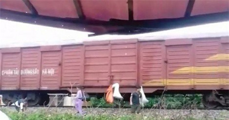 Bất bình với hành động "gửi rác" lên tàu hỏa ở Hà Tĩnh