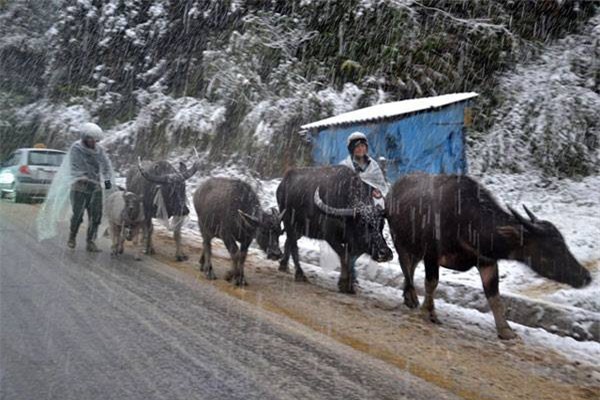 Thời tiết ngày 23/11: Miền Bắc rét đậm, vùng núi có khả năng xuất hiện băng giá