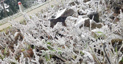 Thời tiết ngày 25/11: Miền Bắc tiếp tục rét đậm