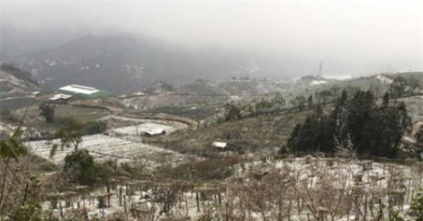 Dự báo thời tiết 26/11: Miền Bắc "chìm sâu" trong rét đậm, rét hại