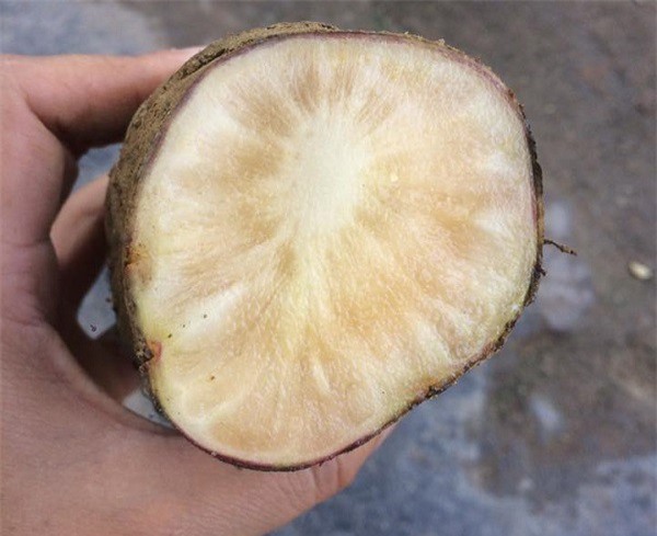 Cấm tàu thuyền đi dưới cầu Long Biên để phục vụ việc trục vớt bom