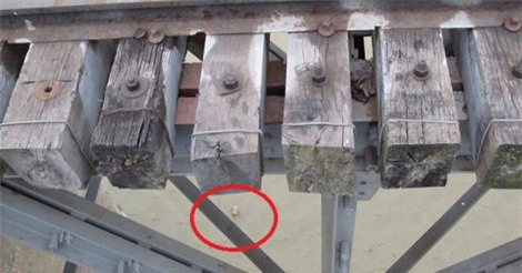 Quân đội trục vớt thành công trái bom dưới chân cầu Long Biên