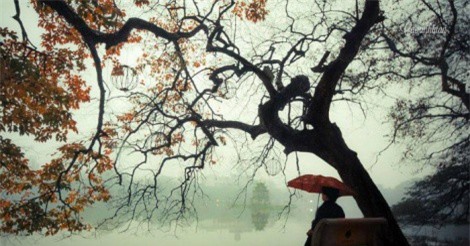 Thời tiết ngày 29/11: Miền Bắc sắp đón đợt không khí lạnh mới