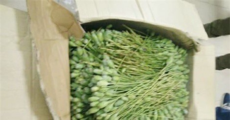 Hám 3 triệu đồng, người đàn ông vướng vòng lao lý