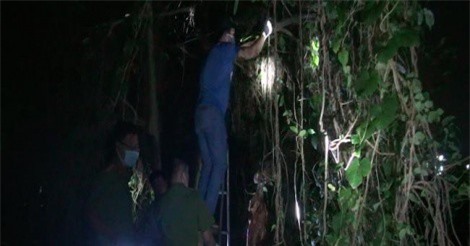 Hoảng hồn phát hiện thi thể người đàn ông chết khô trên cây