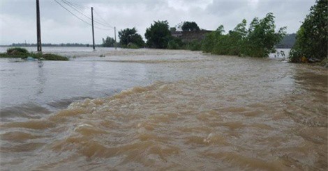 Bình Định: Nước lũ dâng cao, 800 hộ dân phải sơ tán khẩn cấp