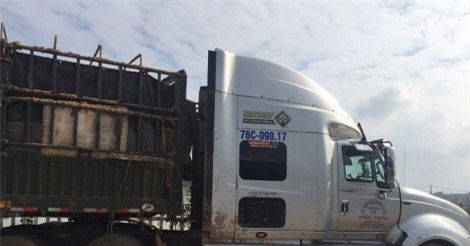 Quảng Nam: Bắt xe đầu kéo đổ chất thải xuống đường