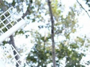 Chuyện tình đẹp như mơ của cặp đôi "nàng nặng gấp đôi chàng"