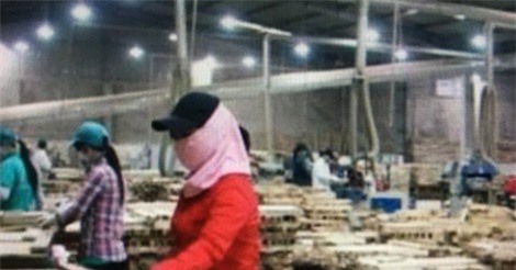 Dự kiến từ 1/1/2018 thay đổi thuế XNK hàng loạt mặt hàng