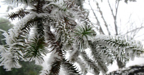 Miền Bắc sắp đón đợt không khí lạnh mạnh, vùng núi có thể xuất hiện băng giá