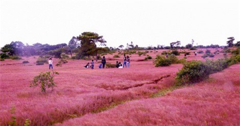 6 địa danh du lịch được check-in nhiều nhất năm 2017