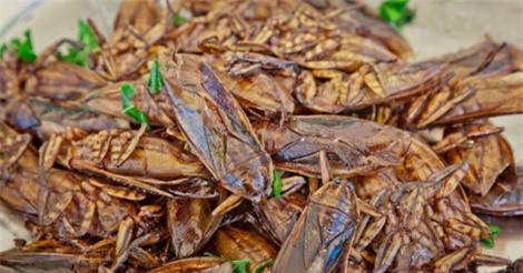 9 đặc sản kinh dị nhất Đông Nam Á