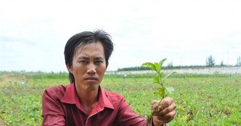 Khởi nghiệp thời biến đổi khí hậu của chàng trai xứ dừa