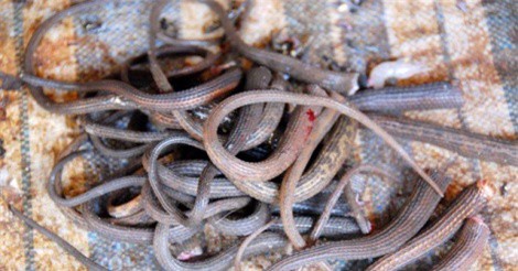 Những đặc sản khô siêu “độc” của miền Tây