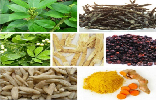 7 vị thuốc hỗ trợ điều trị tiểu đường trong y học cổ truyền